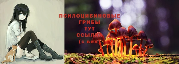 наркотики Алексеевка