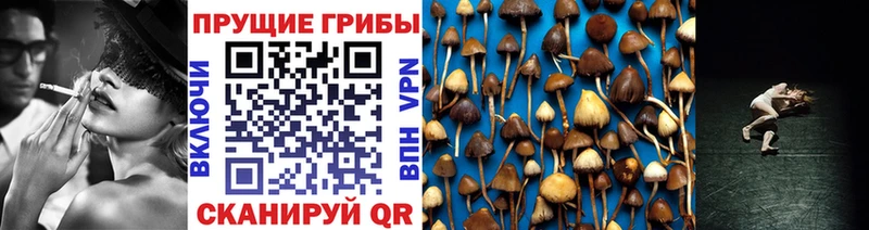 Псилоцибиновые грибы MAGIC MUSHROOMS  Билибино 